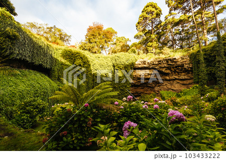 Umpherston Cave Sinkhole in Mt Gambier Australia 103433222