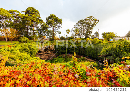 Umpherston Cave Sinkhole in Mt Gambier Australia 103433231