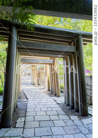 鎌倉市 銭洗弁財天宇賀福神社 鎌倉市 銭洗弁財天宇賀福神社 103433662