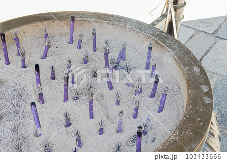 鎌倉市　銭洗弁財天宇賀福神社 103433666