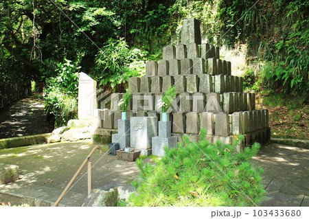 薩摩義士の墓塔の風景 薩摩義士の墓塔の風景 103433680