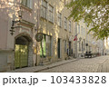 エストニア　タリンの路地裏 103433828