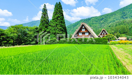 夏の白川郷 夏の白川郷 103434043