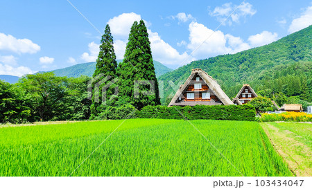 夏の白川郷 103434047