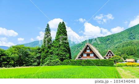 夏の白川郷 夏の白川郷 103434048