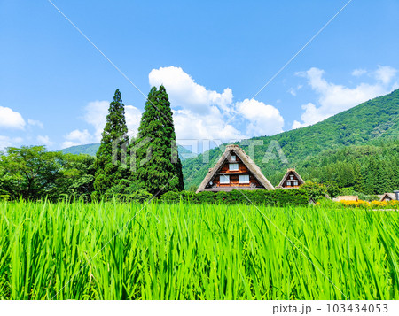 夏の白川郷 夏の白川郷 103434053