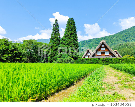 夏の白川郷 103434055
