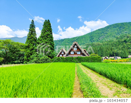 夏の白川郷 夏の白川郷 103434057