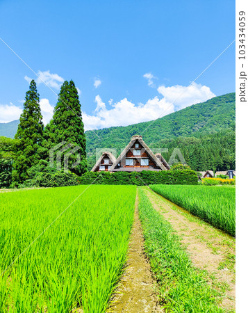 夏の白川郷 夏の白川郷 103434059