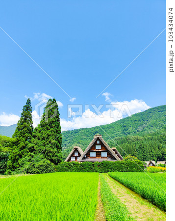 夏の白川郷 夏の白川郷 103434074