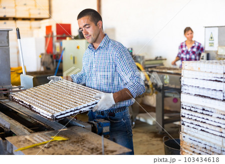 Skilled man taking out trays with earth and seeds from automatic filling and seeding line for growing containerized seedlings of decorative plants in greenhouse 103434618