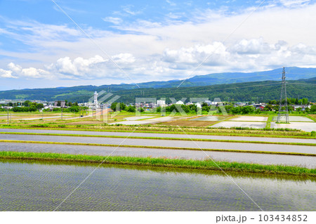 新井駅、妙高市役所方面を望む(新潟県妙高市)【2023.5】 103434852
