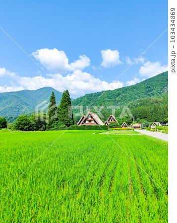 夏の白川郷 夏の白川郷 103434869