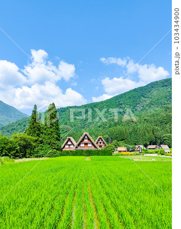 夏の白川郷 103434900