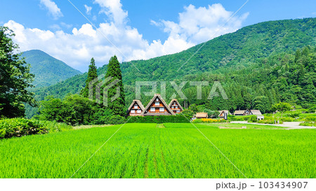 夏の白川郷 夏の白川郷 103434907