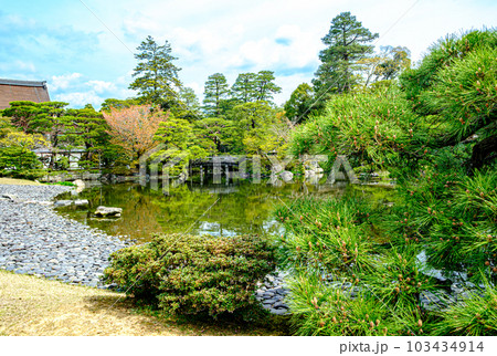 京都、仙洞御所の庭園 103434914