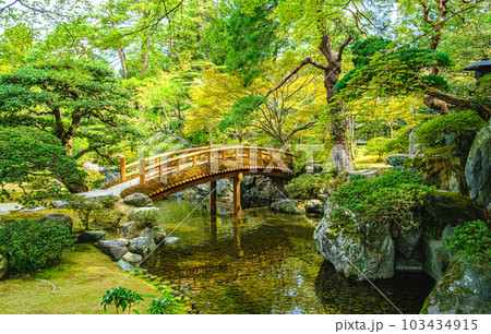 京都御所の御池庭 京都御所の御池庭 103434915