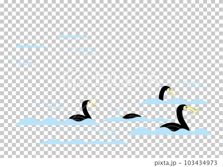 cormorant in the river 103434973