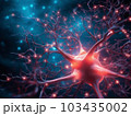 Human Nervous System 103435002