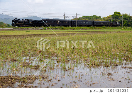 鹿児島本線を走るSL人吉〜58654+50系客車+DE10 103435055