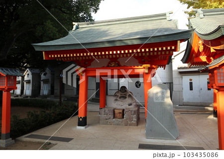 早稲田 穴八幡宮 早稲田 穴八幡宮 103435086
