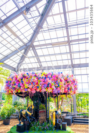 初夏の京成バラ園 初夏の京成バラ園 103435664