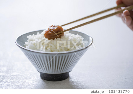 梅干しを乗せたご飯 103435770
