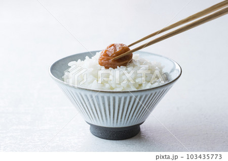 梅干しを乗せたご飯 103435773