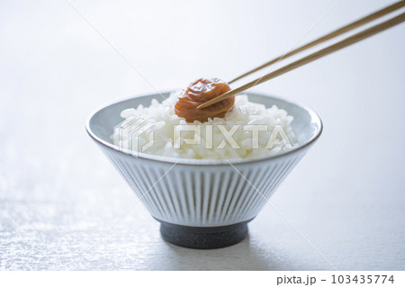 梅干しを乗せたご飯 103435774