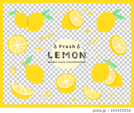 Handwritten style lemon simple illustration set fruit fruit citrus summer fruit vitamin lemon juice cross section 103435858