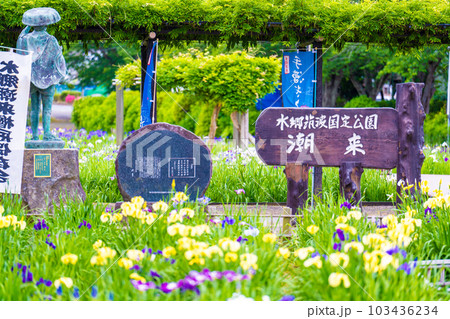 潮来あやめ園 103436234