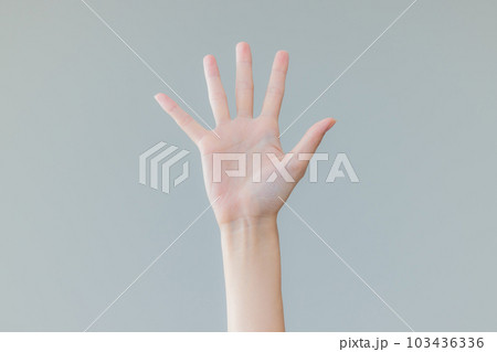 女性の手 103436336