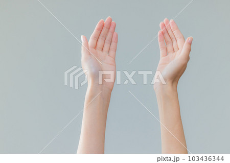 女性の手 女性の手 103436344