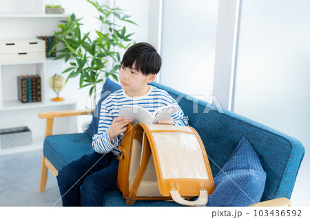 リビングの小学生の男の子 103436592