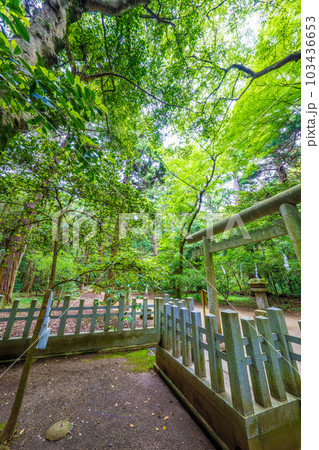 鹿島神宮要石 鹿島神宮要石 103436653