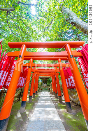 鹿島神宮稲荷社 鹿島神宮稲荷社 103436693