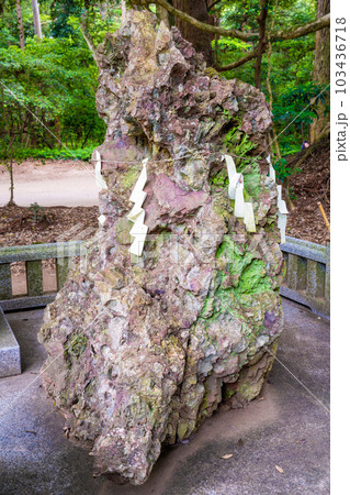 鹿島神宮さざれ石 鹿島神宮さざれ石 103436718