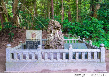 鹿島神宮さざれ石 103436719