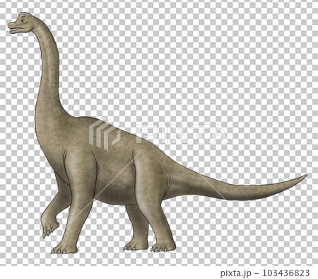 ブラキオサウルスイメージ ブラキオサウルスイメージ 103436823