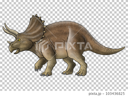 triceratops image 103436825