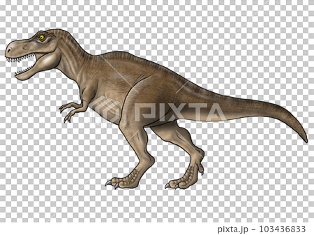 霸王龍圖片 霸王龍圖片 103436833