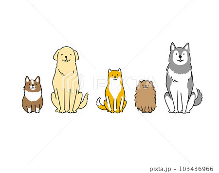 かわいい犬の正面向きイラスト 103436966