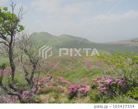 阿蘇 草千里 登山 キリシマ ミヤマキリシマ 山頂 山頂からの風景 絶景 阿蘇 草千里 登山 キリシマ ミヤマキリシマ 山頂 山頂からの風景 絶景 103437354
