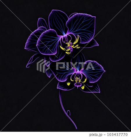 drawing ordhid flower 103437770