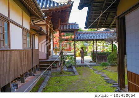 福岡県北九州市にある黄檗宗寺院福聚寺の紅葉 103438064