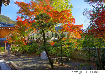 福岡県北九州市にある黄檗宗寺院福聚寺仏殿と御成門 103438088