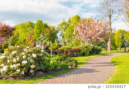 A paved walkway in a blooming garden on a warm spring day. A paved walkway in a blooming garden on a warm spring day. 103438427