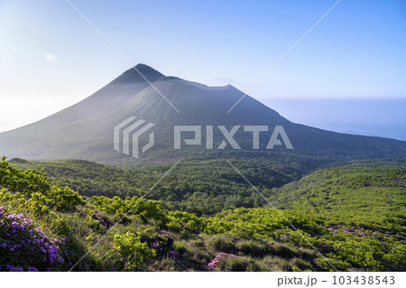 霧島連山のミヤマキリシマ  103438543