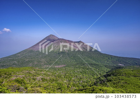 霧島連山のミヤマキリシマ 霧島連山のミヤマキリシマ 103438573