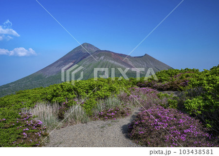 霧島連山のミヤマキリシマ 霧島連山のミヤマキリシマ 103438581